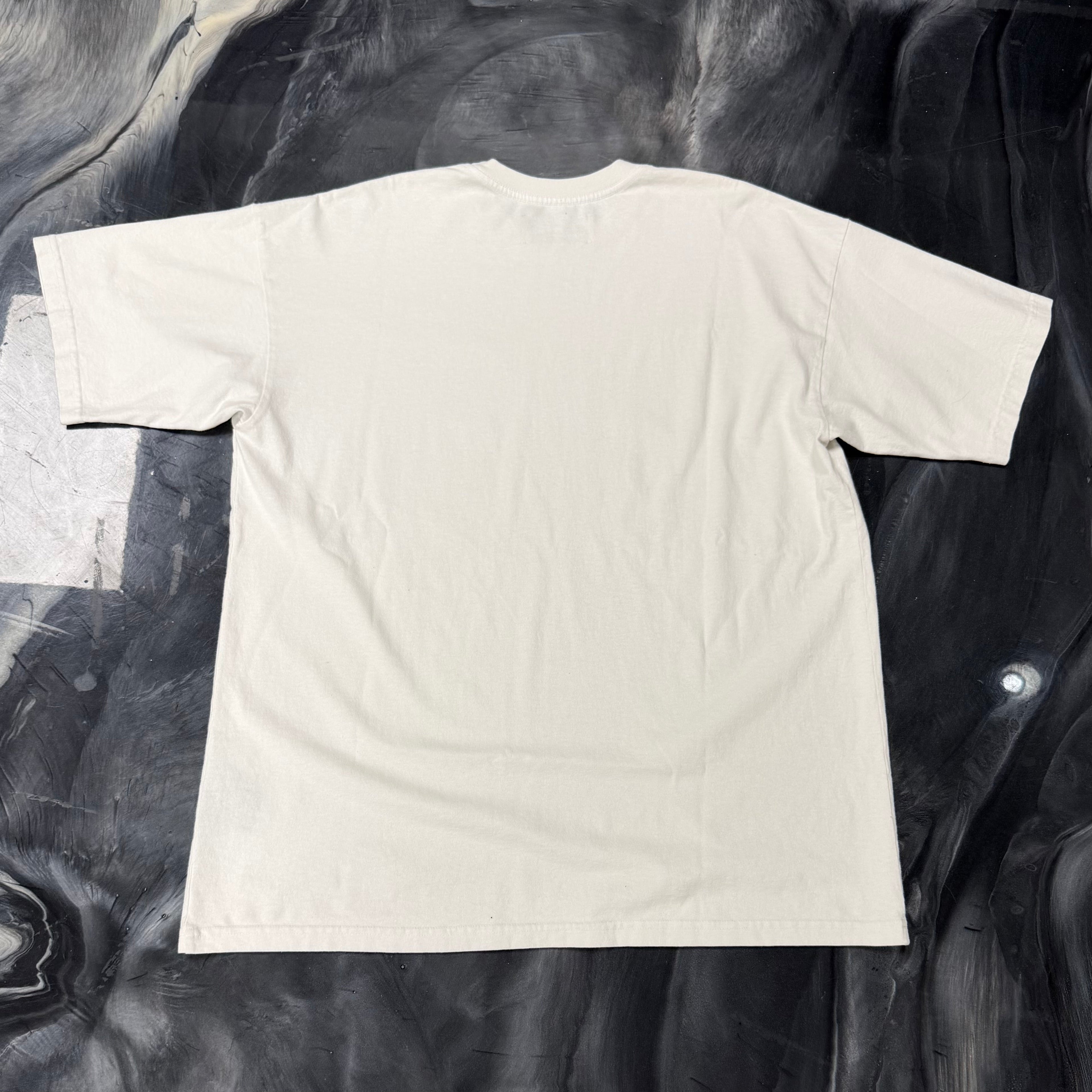 Satoshi Nakamoto Psychology of Money Tee