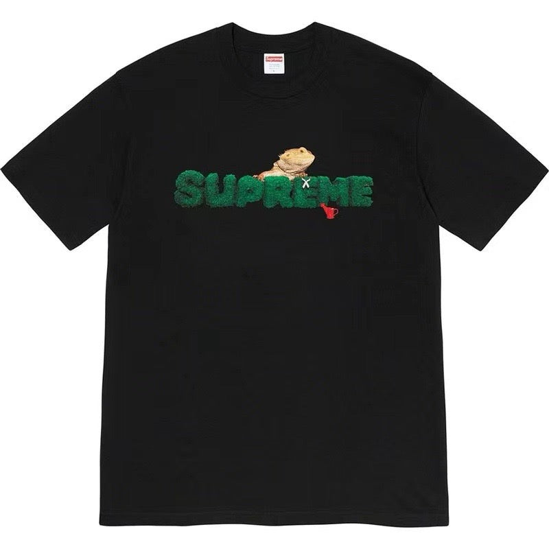 Supreme Moss Grass Texture Logo Bearded Dragon Graphic T-Shirt Reptile Pet Art Unisex  Streetwear Short Sleeve Tee