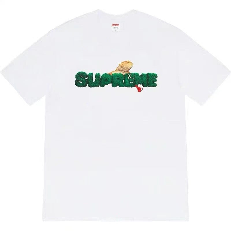 Supreme Moss Grass Texture Logo Bearded Dragon Graphic T-Shirt Reptile Pet Art Unisex  Streetwear Short Sleeve Tee