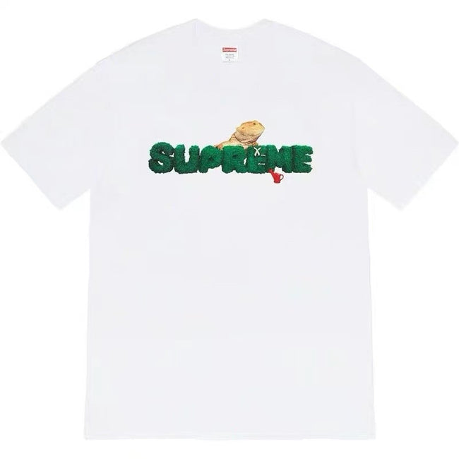 Supreme Moss Grass Texture Logo Bearded Dragon Graphic T-Shirt Reptile Pet Art Unisex  Streetwear Short Sleeve Tee Hover Image